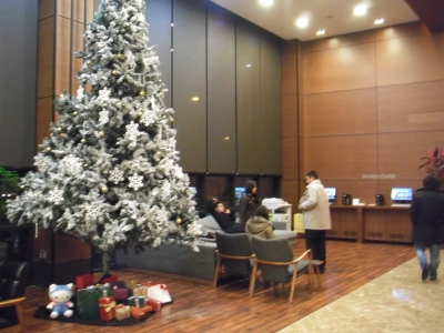 2013_1213JT 画像0019