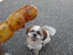 IMG_8439_convert_20110909214448.jpg