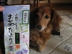 IMG_8442_convert_20110909214511.jpg