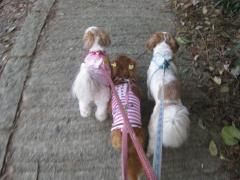 IMG_8549_convert_20111009144529.jpg