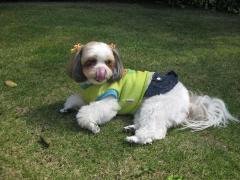 IMG_8581_convert_20111018202857.jpg