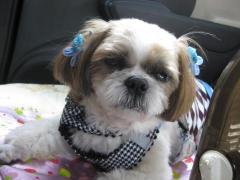 IMG_8594_convert_20111023203934.jpg