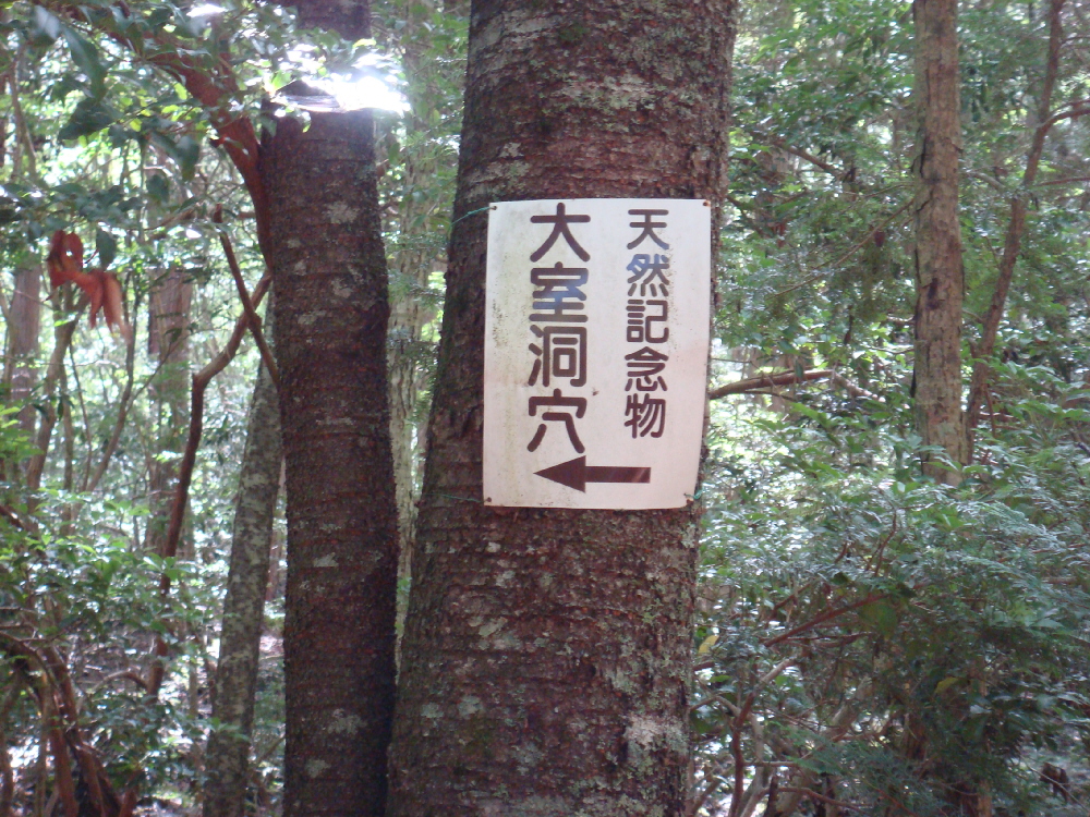 DSC04059a.jpg