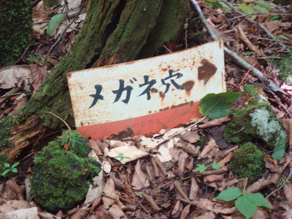 DSC04074a.jpg