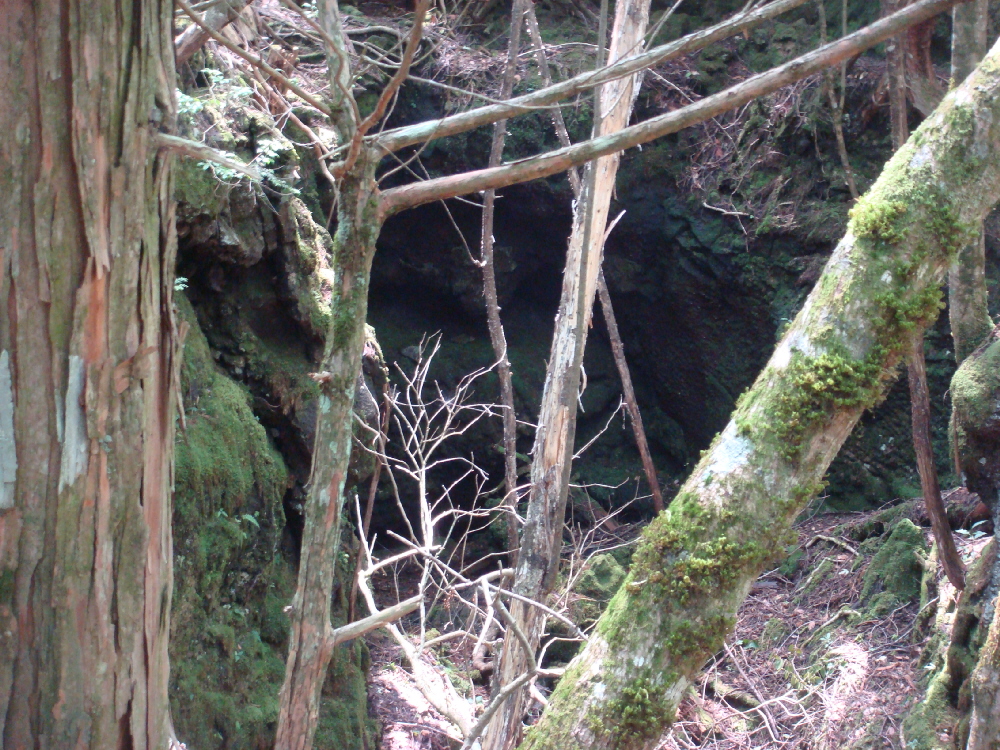 DSC04081a.jpg