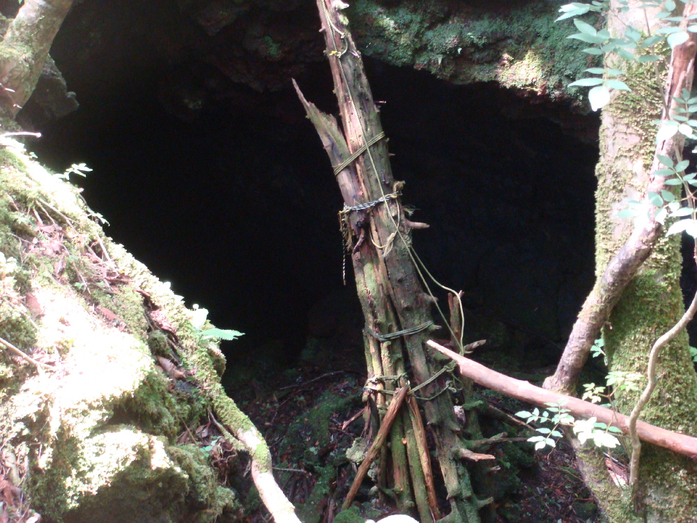 DSC04108a.jpg