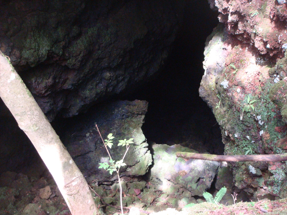 DSC04112a.jpg