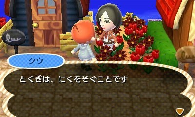 HNI_0049 HNI_0049