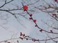 繝溘ル蜍慕黄蝨・127_convert_20130307142221