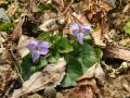 繝溘ル蜍慕黄蝨・138_convert_20130307142311