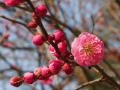逋ス譴・雜ウ鄒ス螻ア+039_convert_20130309110007