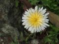 繧ュ繧ッ繝舌が繧ヲ繝ャ繝ウ+133_convert_20130316125004