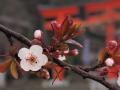 譯懌蔵+017_convert_20130329112754