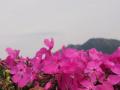 譛晏画ー城⊆霍。+003_convert_20130414182106