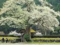 譛晏画ー城⊆霍。+145_convert_20130414182254