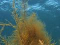繧ィ繧ウ縺ソ縺ェ縺ソ縺医■縺懊s+004_convert_20130428171742