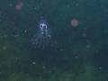 繧ィ繧ウ縺ソ縺ェ縺ソ縺医■縺懊s+012_convert_20130428171849
