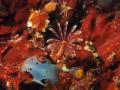 繧ィ繧ウ縺ソ縺ェ縺ソ縺医■縺懊s+029_convert_20130429194501