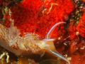 繧ィ繧ウ縺ソ縺ェ縺ソ縺医■縺懊s+062_convert_20130429194541
