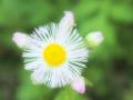 繧ウ繧「繧ク繧オ繧、+007_convert_20130525085258