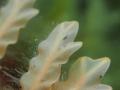繧ェ繝九が繧ウ繧シ+122_convert_20130526081850