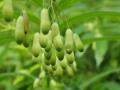 5譛茨シ抵シ呎律縺ゅ☆繧上d縺セ+002_convert_20130529144836