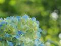 ・匁怦・匁律縺ゅ§縺輔>+050_convert_20130606131211