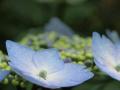 繝・ヰ繝。+017_convert_20130620122017
