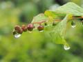 繝・ヰ繝。+102_convert_20130620122310