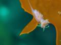 405406+104_convert_20130709163258.jpg