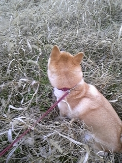 111129_151729.jpg