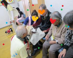 IMG_0446_convert_20131204170908.jpg