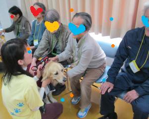 IMG_0472_convert_20131204171121.jpg