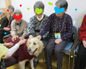 IMG_0492_convert_20131204170609.jpg