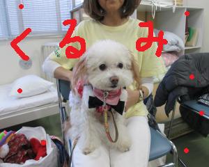 IMG_0509_convert_20131205143952.jpg