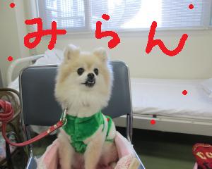 IMG_0512_convert_20131204165110.jpg