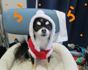 IMG_0513_convert_20131204165030.jpg