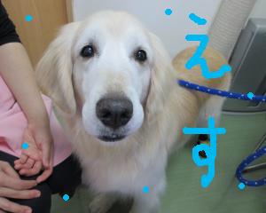 IMG_0515_convert_20131204164950.jpg