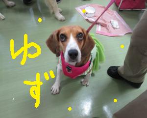 IMG_0516_convert_20131204164905.jpg