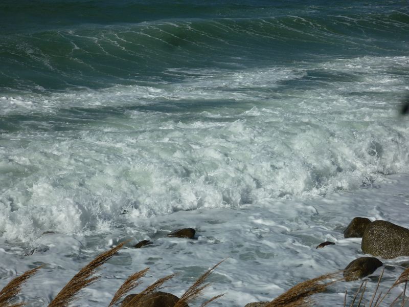海