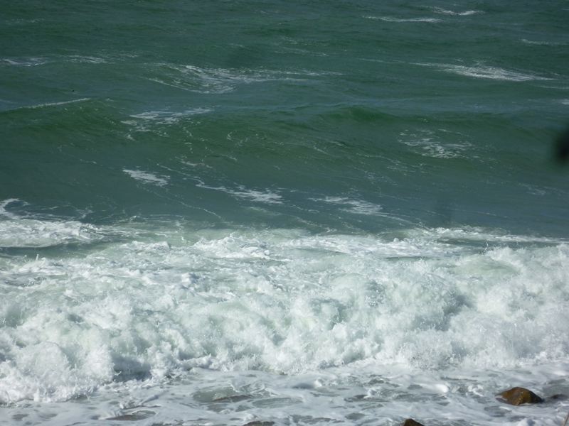 海