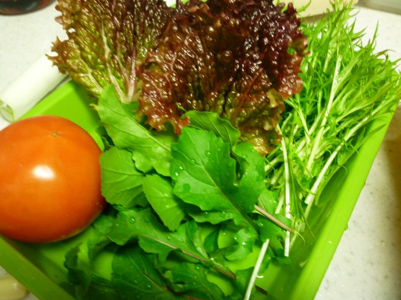 庭の野菜たち
