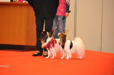 29325.jpg