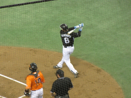 IMG_2315 (450x338)