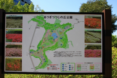 IMG_5558 (450x300)