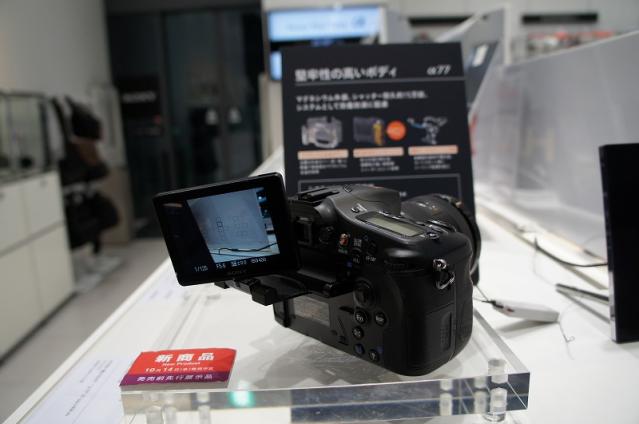 s-DSC00353.jpg