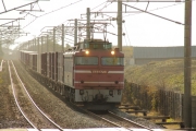 DPP_0130.jpg