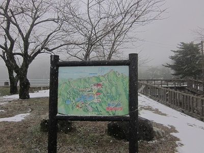 IMG_3842.jpg