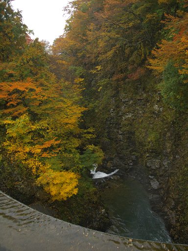 紅葉と滝