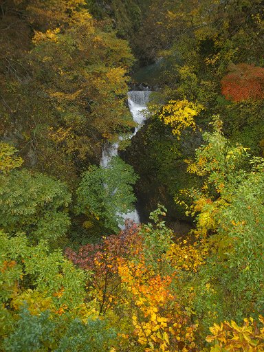 紅葉と滝